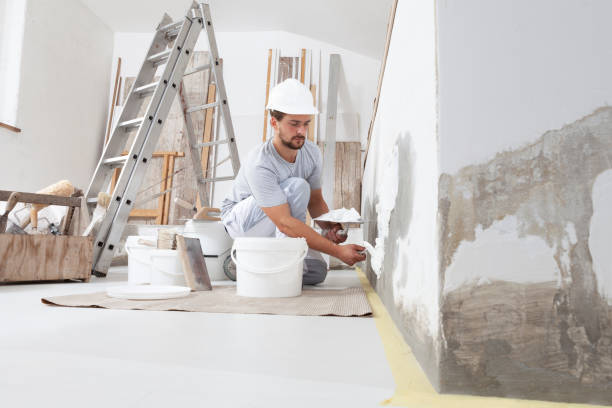 Best Mold Removal for HVAC Installations  in Pato, WA